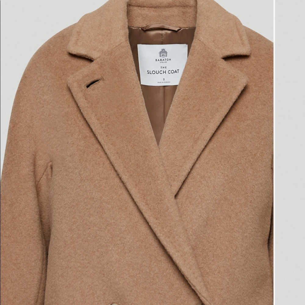 Aritzia - Babaton Slouch Coat